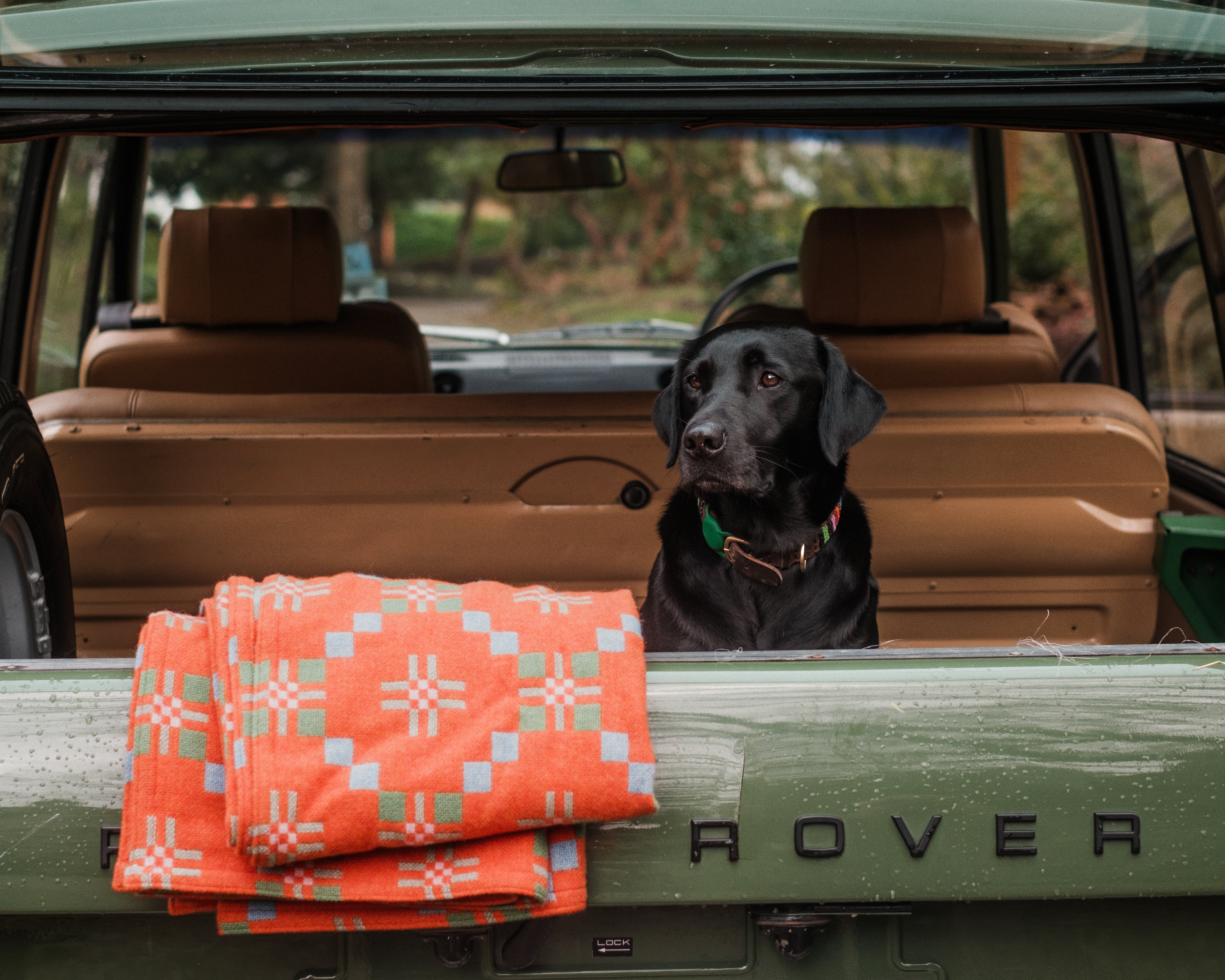 Some thoughts (largely unrelated to one another).