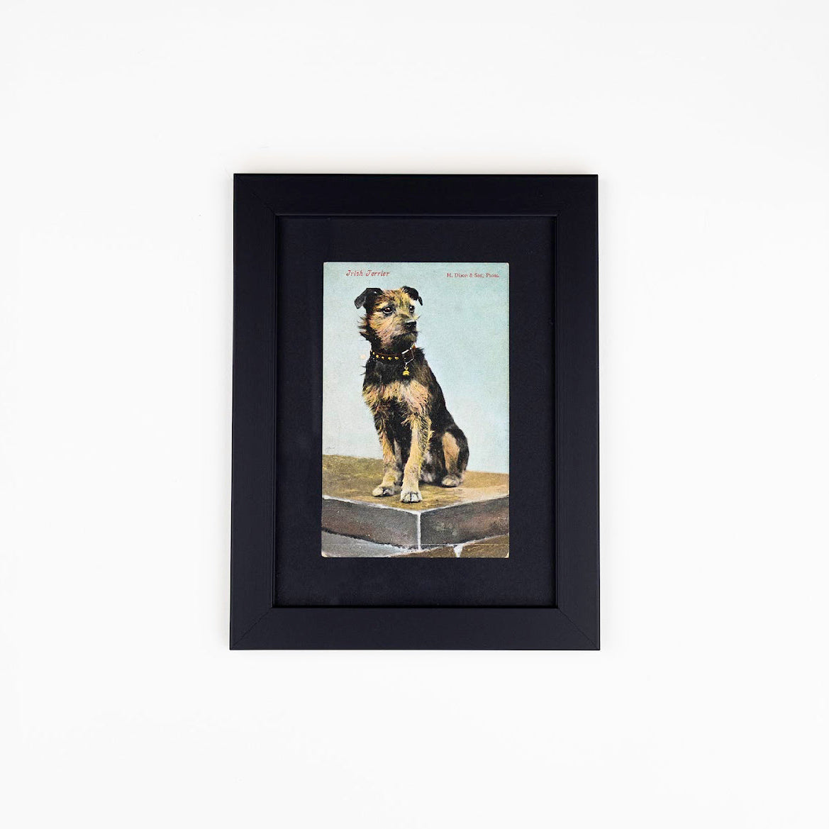 Vintage Dog Postcards