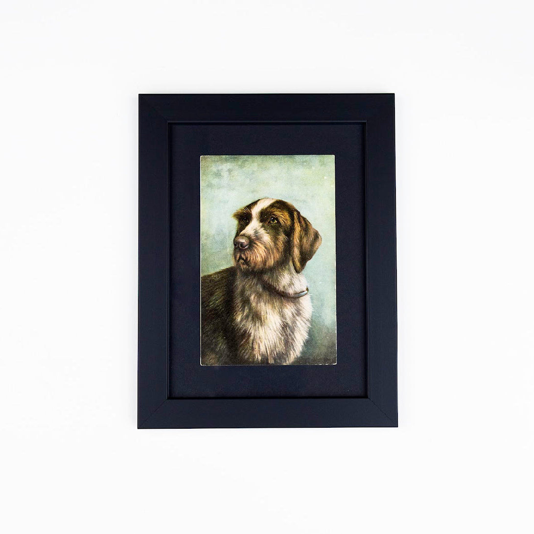 Vintage Dog Postcards