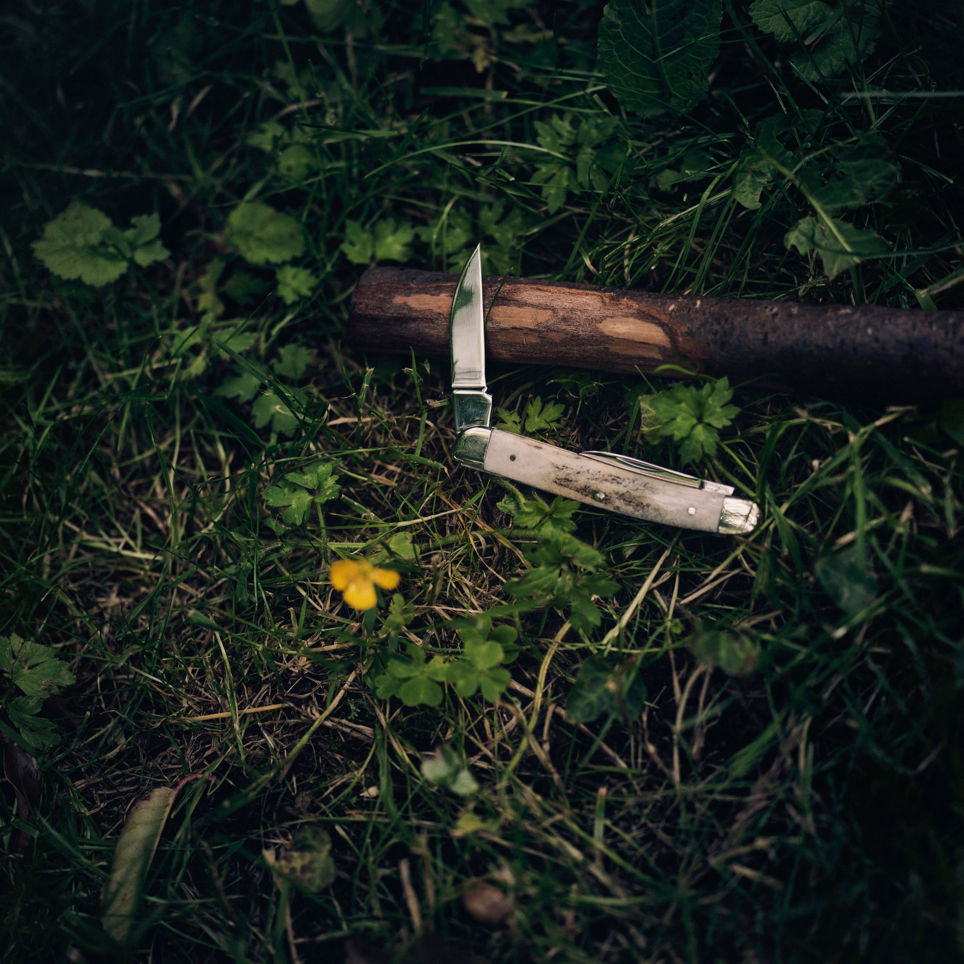 Sheffield Penknife