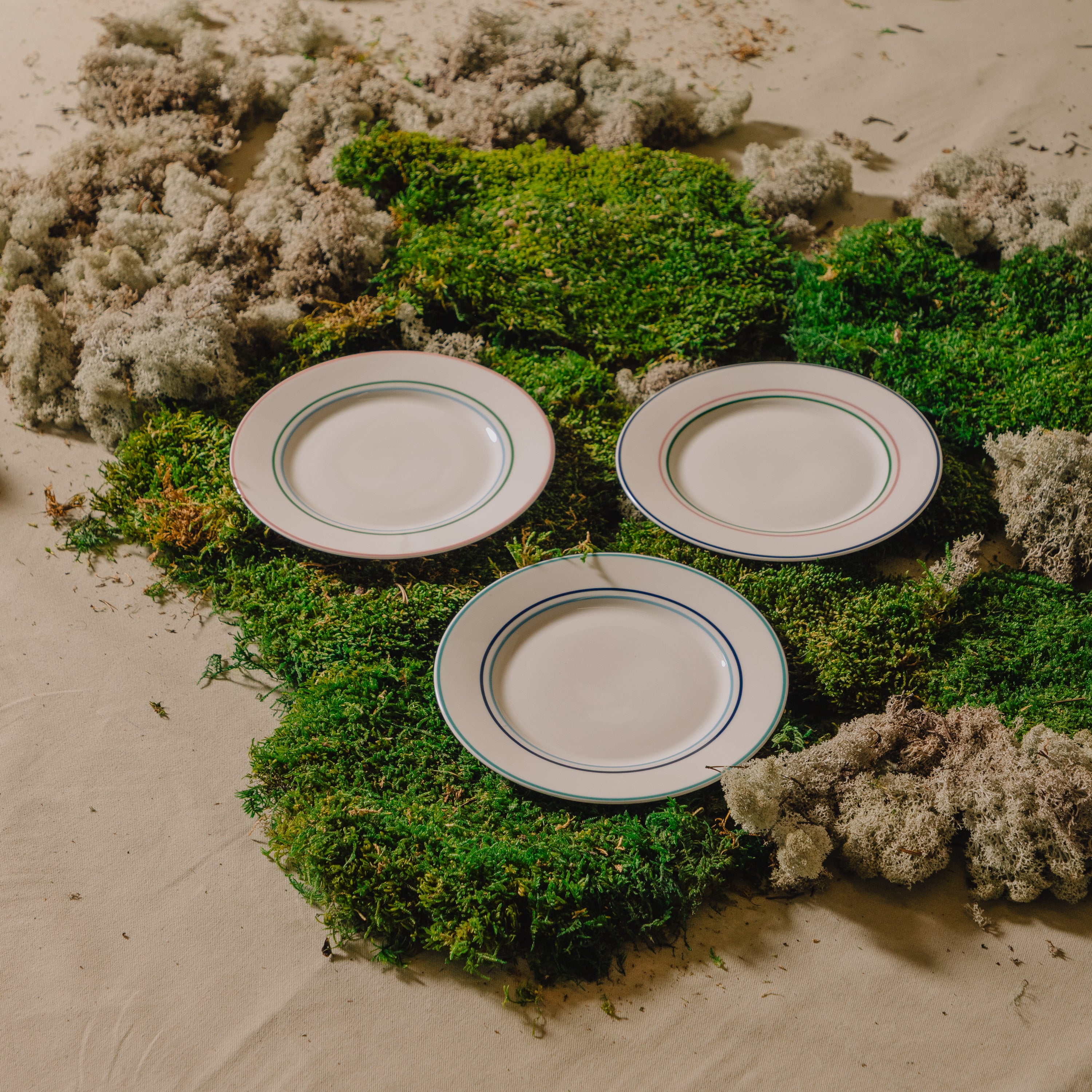 Ceramic Dinnerware