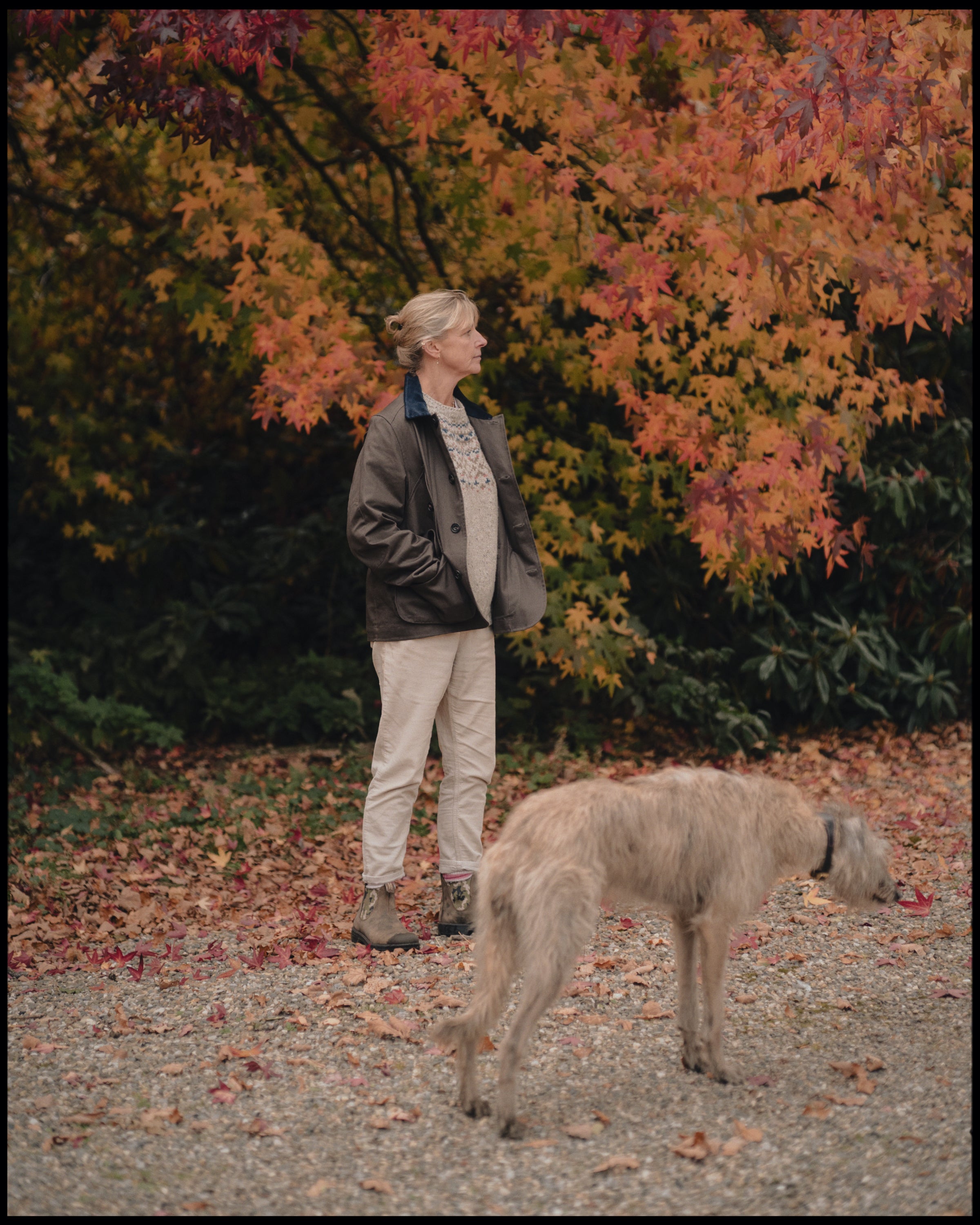 Hunting Jacket. Brown with Blue Cord Collar