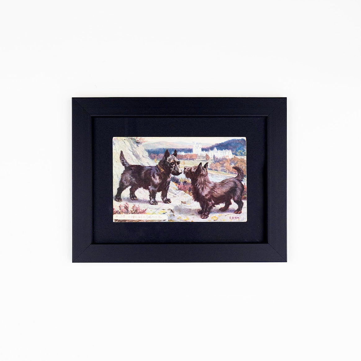 Vintage Dog Postcards