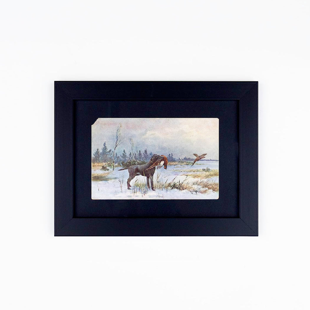 Vintage Dog Postcards