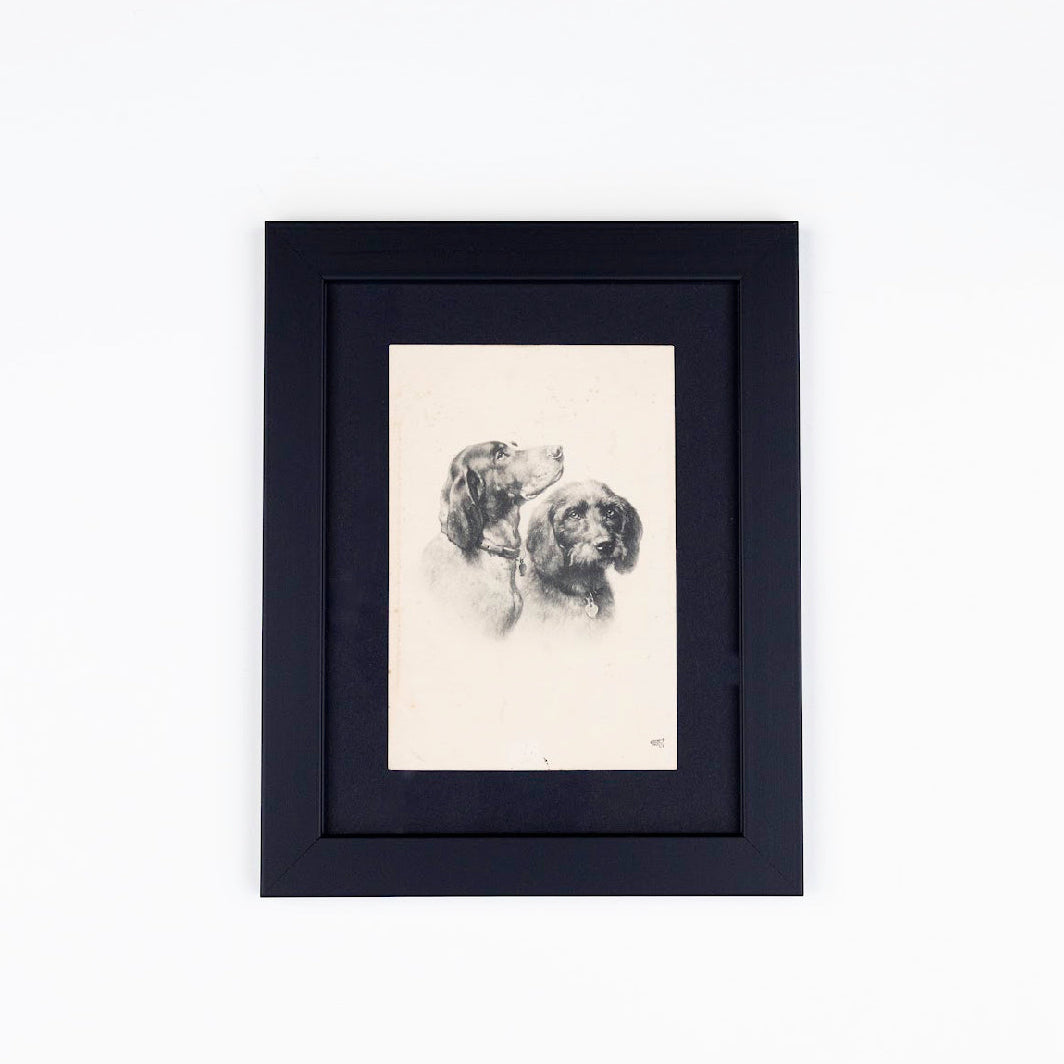 Vintage Dog Postcards