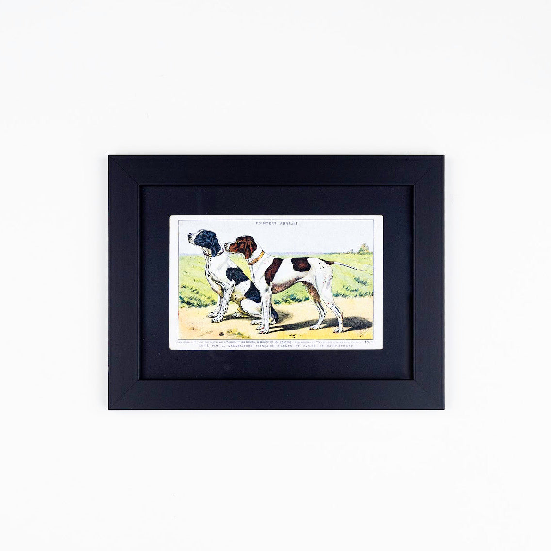 Vintage Dog Postcards