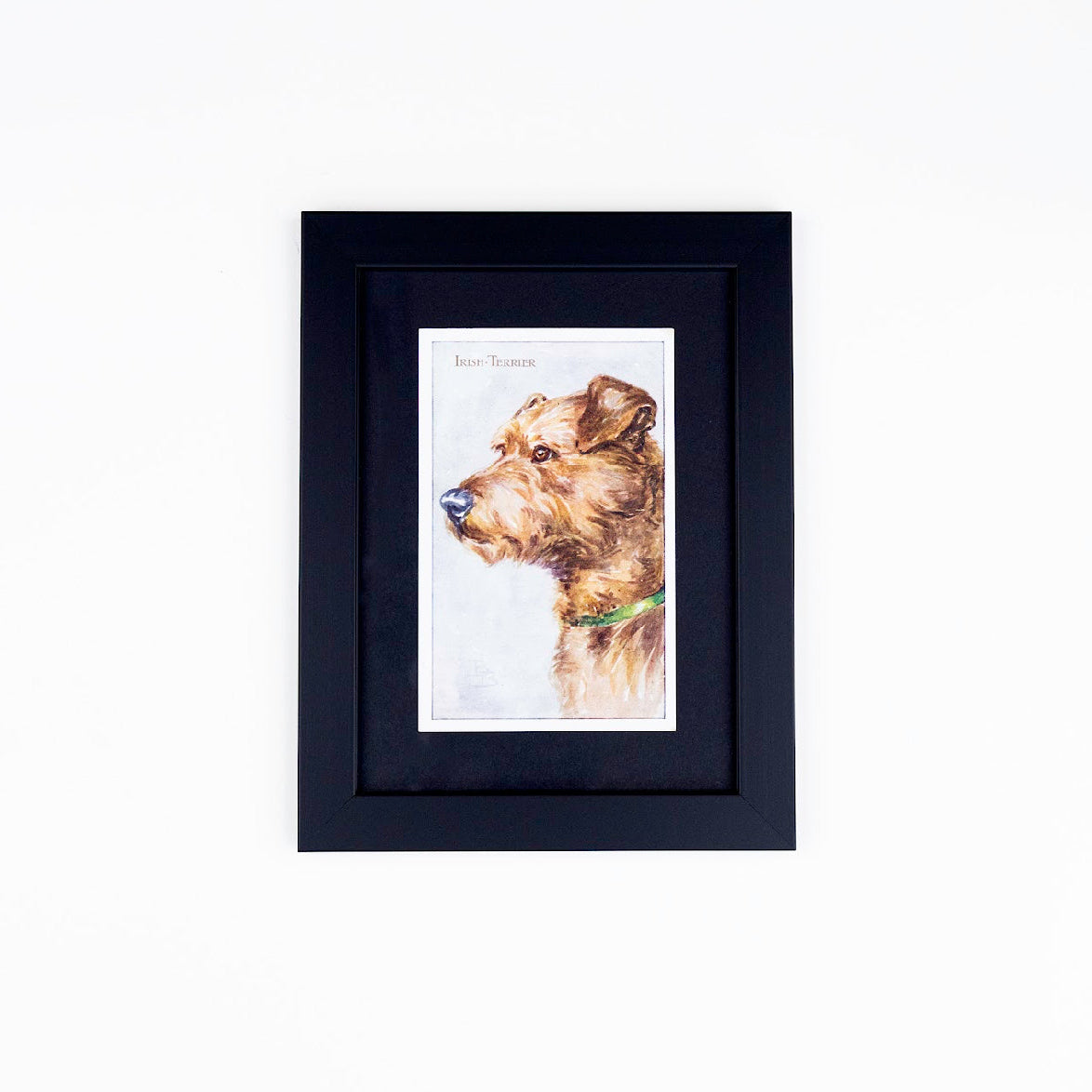 Vintage Dog Postcards