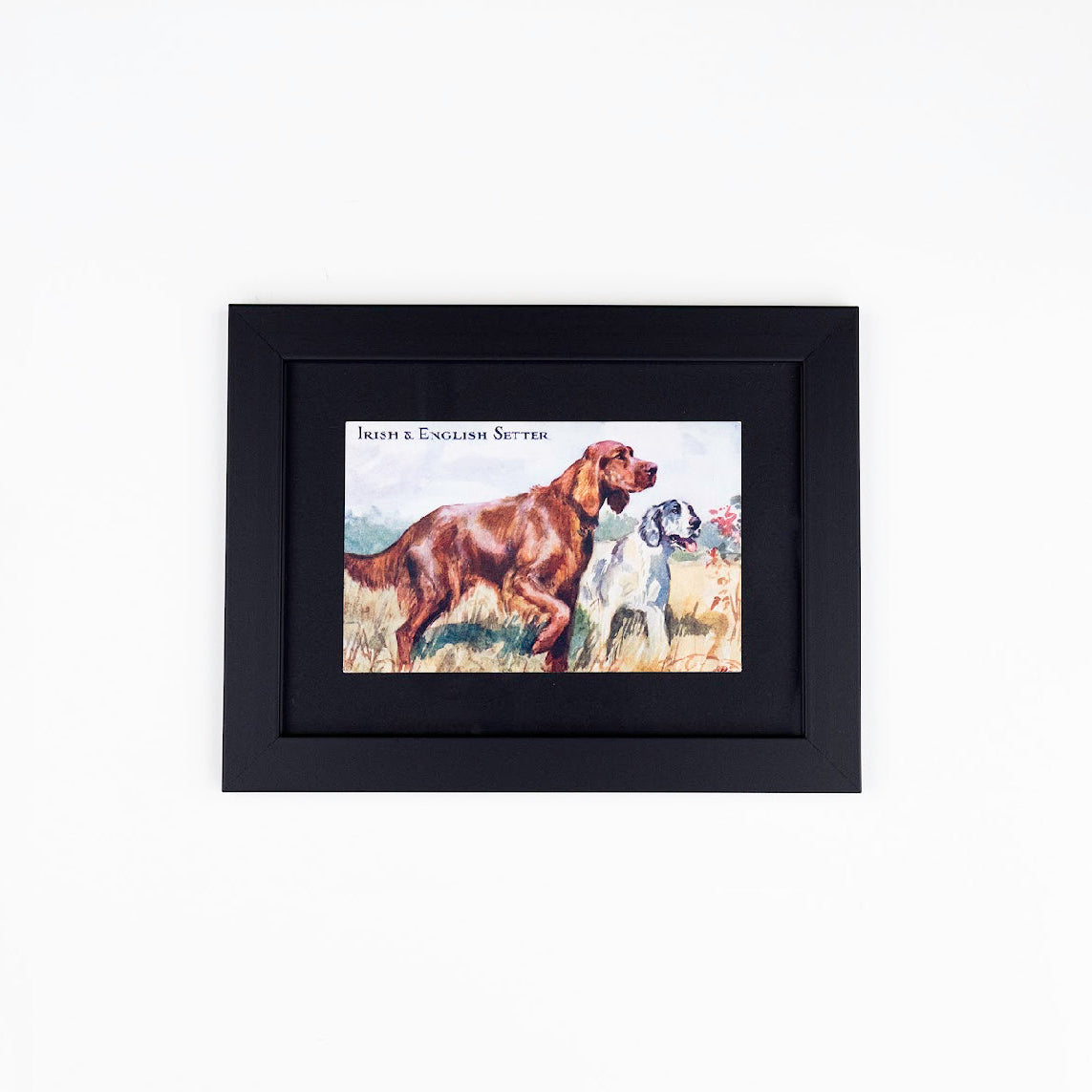 Vintage Dog Postcards