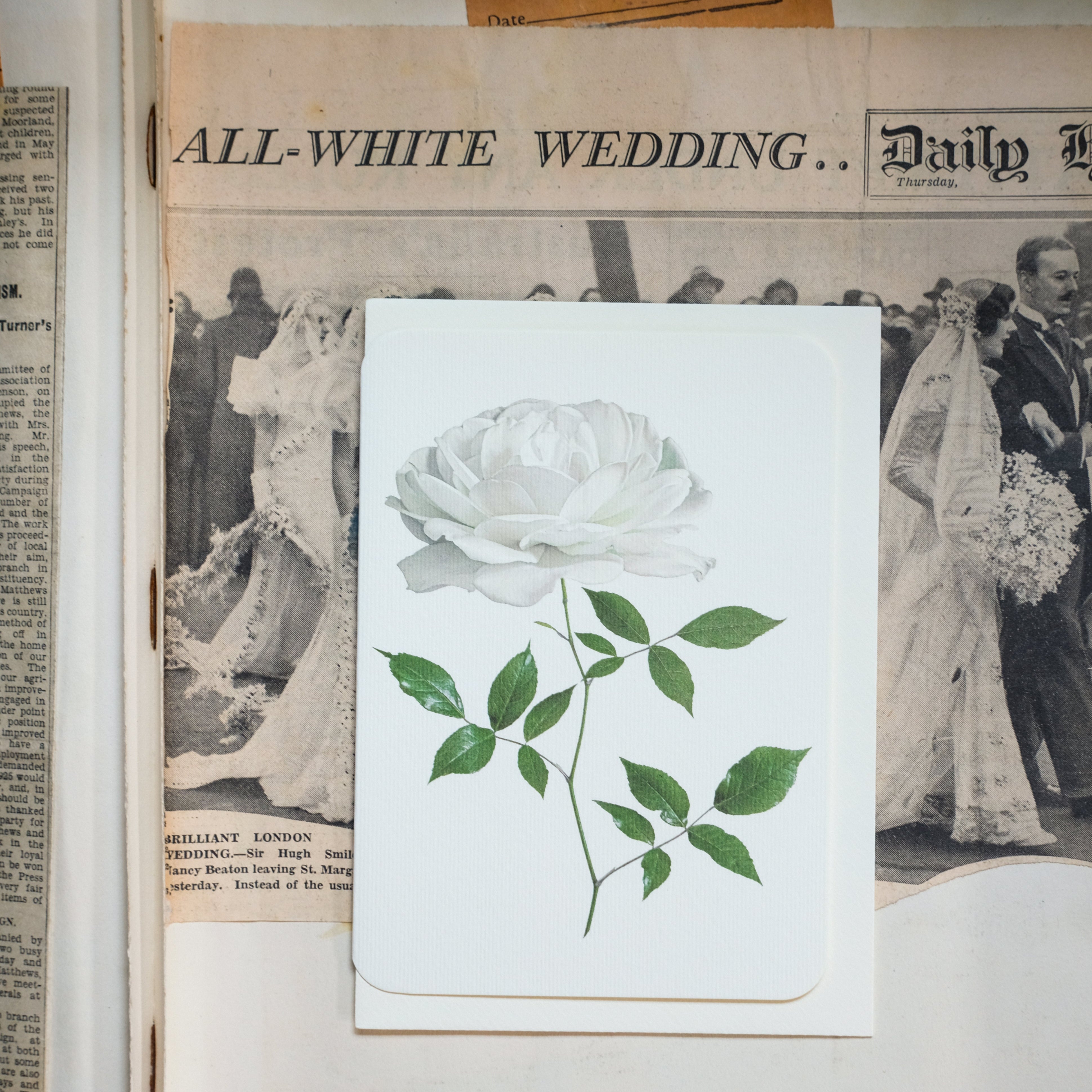 Canonbury Press English Garden Roses: Set of 6 Greeting Cards